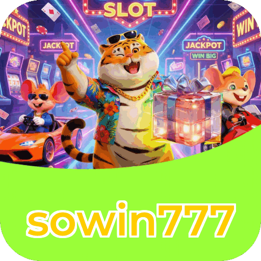 Interface sowin777